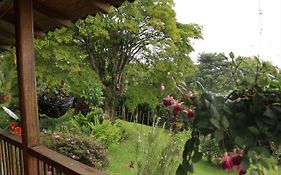 Finca Chalet La Tawa