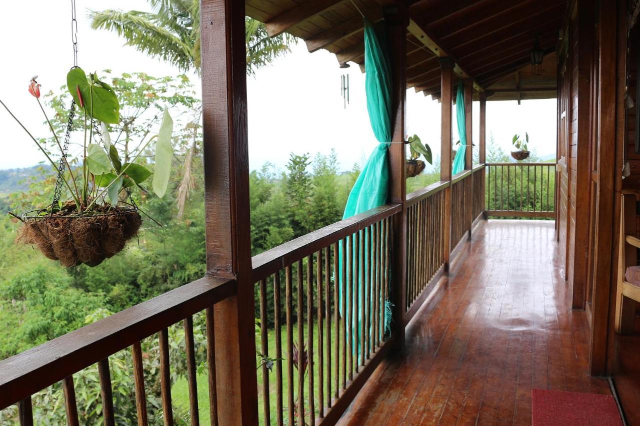 Finca Chalet La Tawa Sevilla  Exterior foto